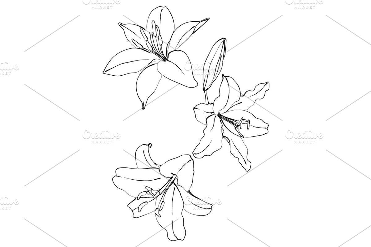 Lilies and Lotus Florals, an Object Graphic by VictoriaKStudio (Photo 10 of 10)