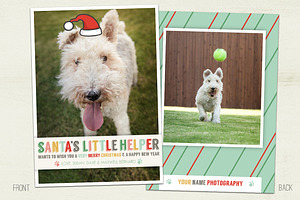 Santa's Helper Holiday Pet Card