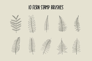 Fern And Eucalyptus Procreate Stamps