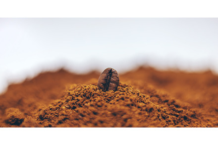 Coffee beans roasted close-up. Drink, a Food & Drink Photo by yanadjana