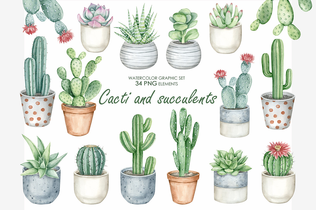Watercolor cactus clipart, a Decorative Illustration by AquarelleSpace (Photo 1 of 5)