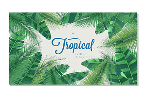 Detailed Tropical Leaves