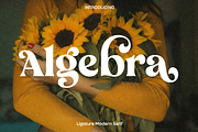 Algebra Ligature Modern Serif, a Serif Font by Luna Shop (Thumbnail 1 of 10)