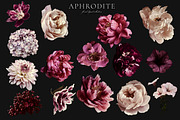 Aphrodite Floral Clip Art Collection, an Object Graphic by Eclectic Anthology (Thumbnail 11 of 13)