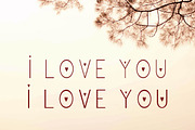 Samelia Family Font, a Sans Serif Font by Jhoel Design (Thumbnail 6 of 9)