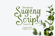 Sugeng Script Handwritten Font