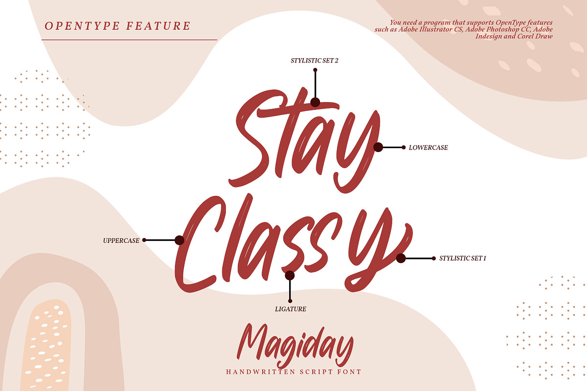 Megiday, a Script Font by Ditatype (Photo 7 of 8)