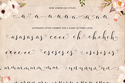Fashionista Modern Calligraphy, a Script Font by Emily Spadoni (Thumbnail 9 of 9)
