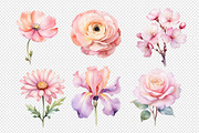 Wedding Watercolor Flowers Clipart., a Decorative Illustration by kaisorn (Thumbnail 3 of 5)