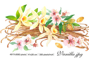 Vanilla & Almond – Watercolor