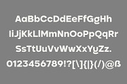 Pogonia - Modern Font Family, a Sans Serif Font by Asenbayu (Thumbnail 6 of 14)