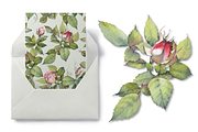 Watercolor Garden Rose Patterns, a Pattern Graphic by Jeanna Draw (Thumbnail 5 of 12)