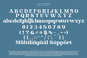 Wild Month, a Serif Font by din-studio.com (Thumbnail 8 of 10)