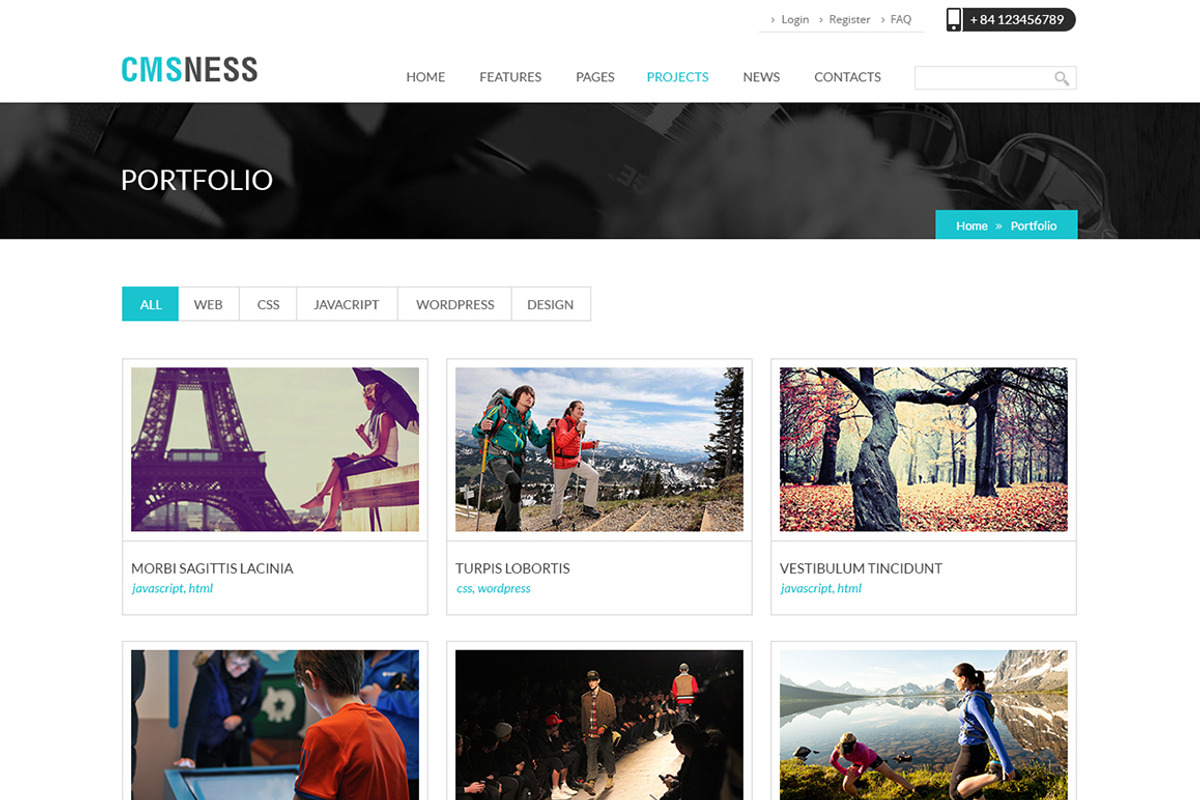 Business WordPress Theme, a WordPress Template by Cmsideas (Photo 5 of 5)