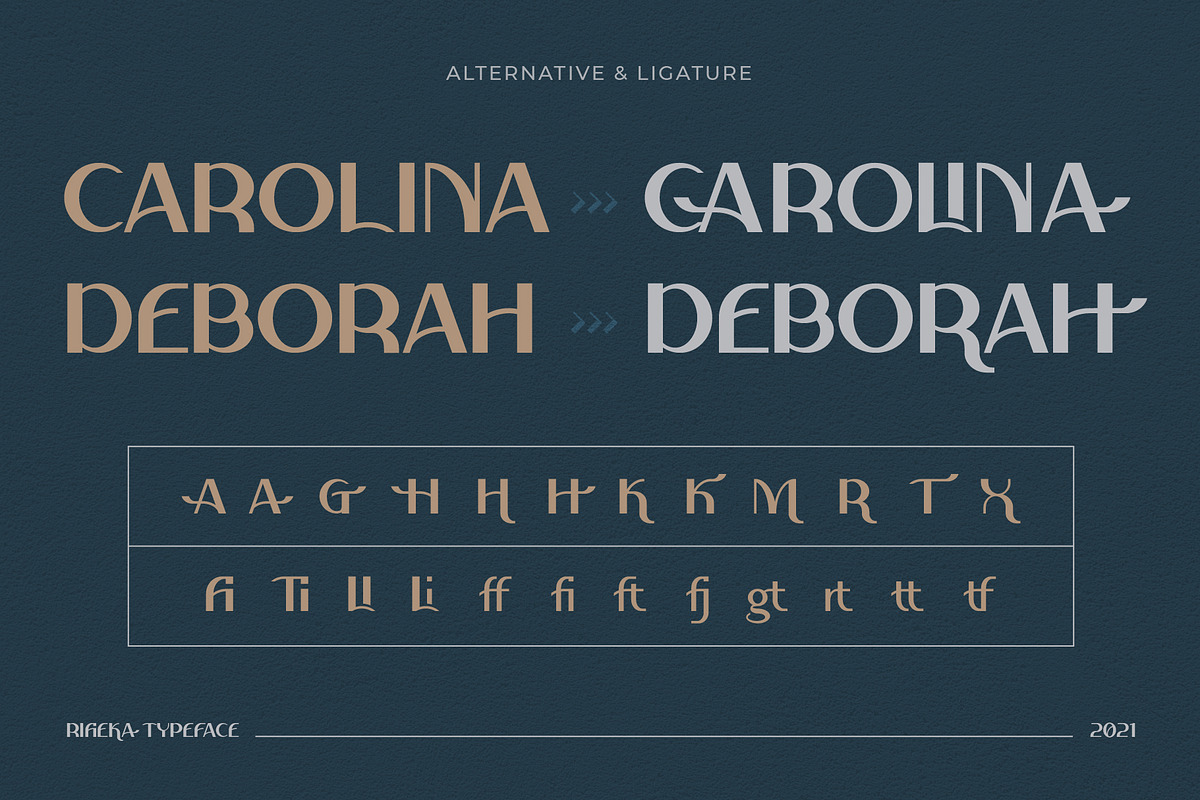 Rifieka // Modern Display Typeface, a Sans Serif Font by Letterature Std. (Photo 6 of 10)