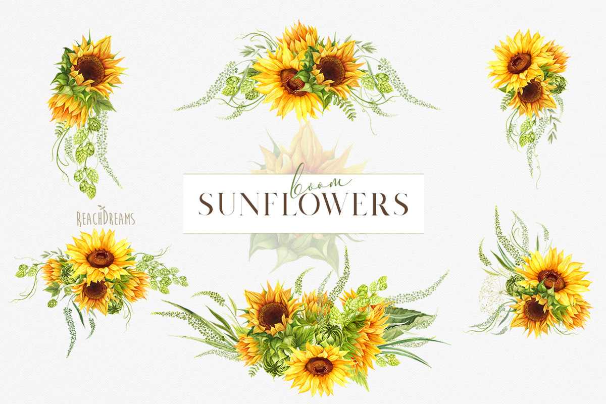 Summer sunflowers collection, an Illustration by ReachDreams (Photo 7 of 7)