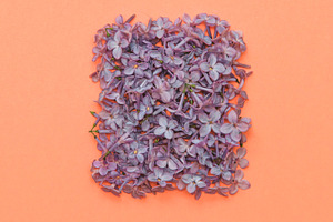  flowers in shape of a square 