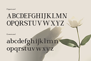 El Romantica Elegant Serif Font, a Serif Font by Vadovastd (Thumbnail 2 of 7)