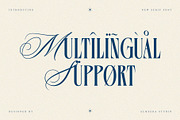 Monycha — Modern Serif Script, a Serif Font by Almeera Std (Thumbnail 9 of 10)