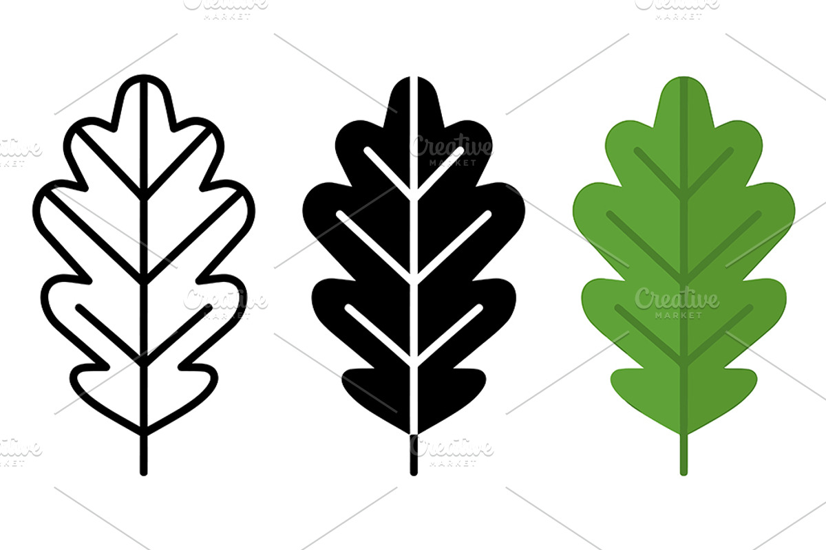 Leaf Vector Icons, a Solid Icon by Artonix (Photo 2 of 2)