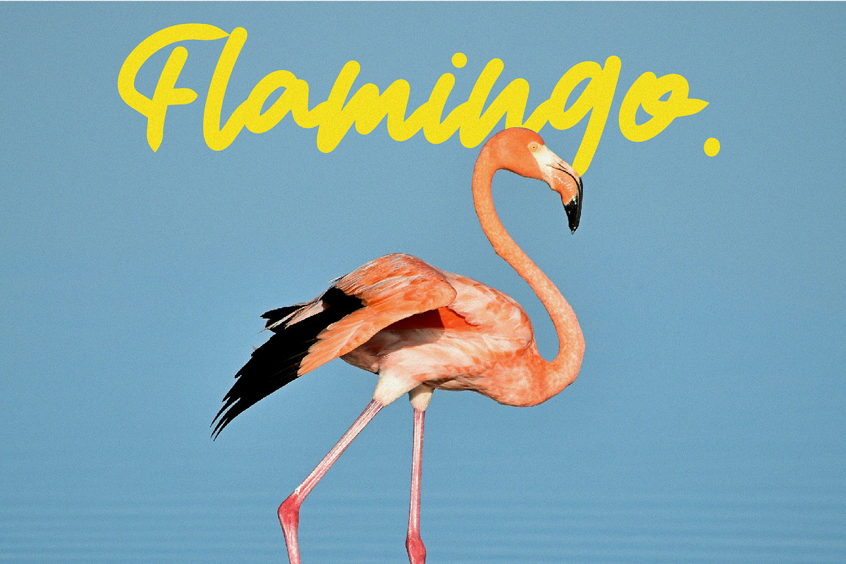 Blansky - Handwritting Font, a Handwritten Font by NuType (Photo 6 of 10)