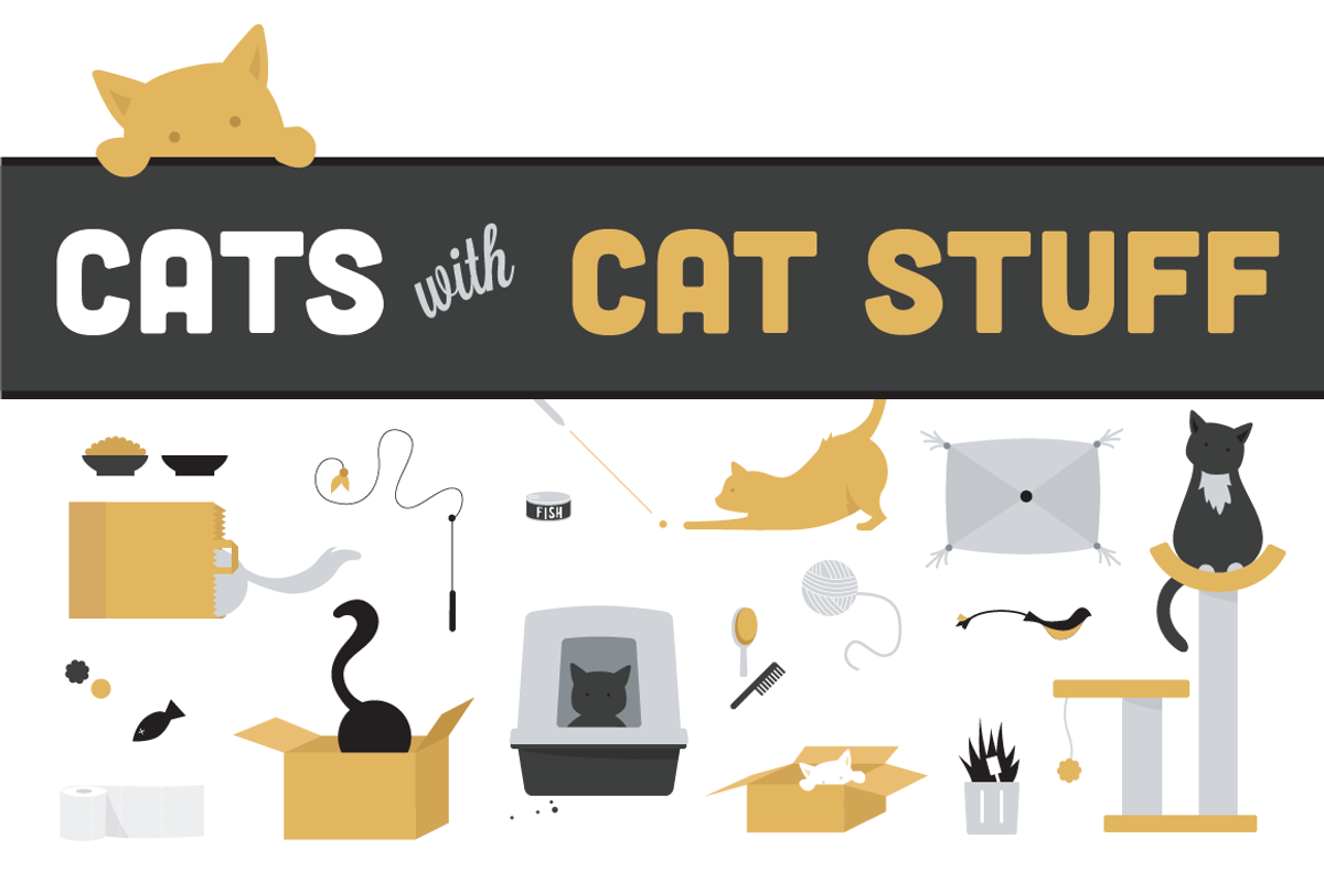 Cats and cat stuff