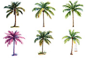 Tropical Palm Tree Clipart Bundle, an Illustration by Pixels.Craft (Thumbnail 3 of 8)