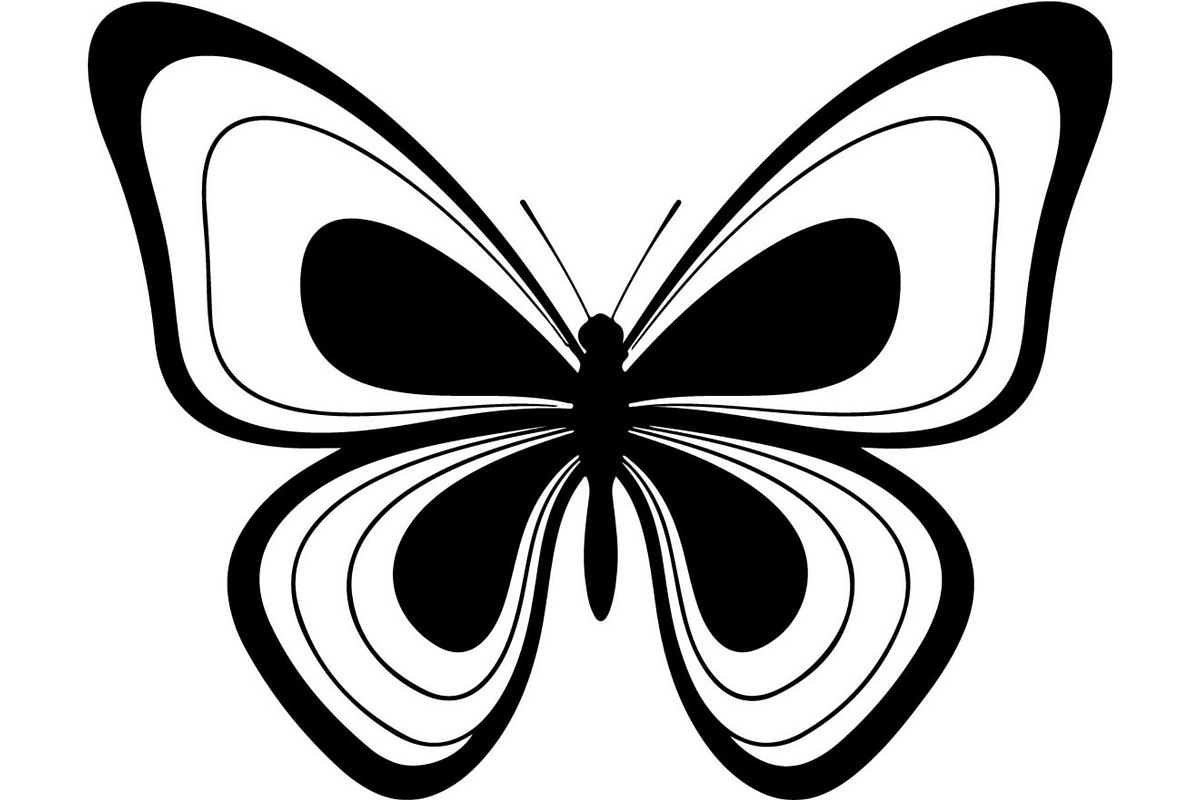 Elegant Butterfly Silhouette, an Object Graphic by Creativeshirt (Photo 17 of 17)