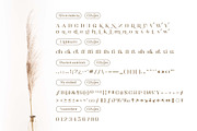 Kartikana Serif, a Serif Font by Ardyanatypes (Thumbnail 11 of 12)