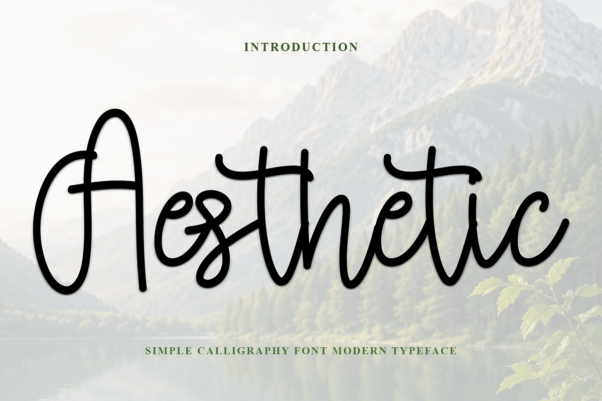 Aesthetic, a Handwritten Font by FreshTypeINK (Photo 1 of 6)