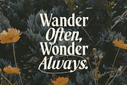 Morning Memories Serif & Script, a Serif Font by Sam Parrett (Thumbnail 3 of 16)