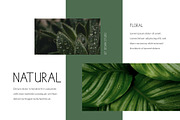 Pranovia Display Typeface, a Handwritten Font by gitasetstudio (Thumbnail 6 of 6)