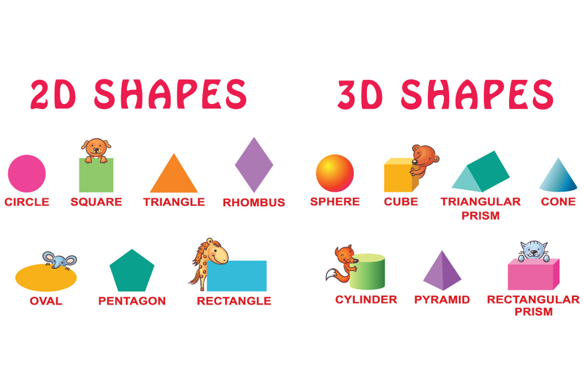 Basic 3d and 2d Shapes, an Animal Illustration by Bubert Art
