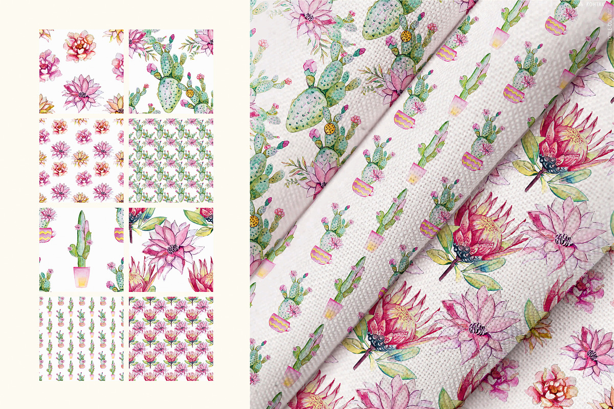 Watercolor cactus and succulents, a Decorative Illustration by Siriliadka Dreams (Photo 3 of 9)