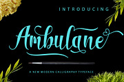BIG BUNDLE FON SCRIPT, a Font by Jhoen (Thumbnail 5 of 19)