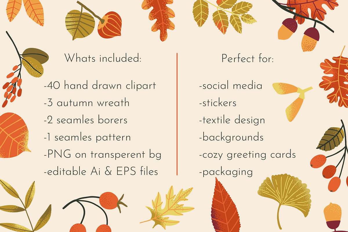 HELLO AUTUMN: clipart|border|pattern, a Seasonal Illustration by Elliko shop (Photo 11 of 12)
