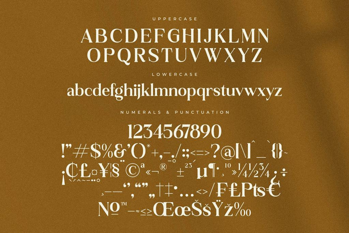Rilenda Modern Serif Font, a Serif Font by Storytype Studio (Photo 11 of 13)