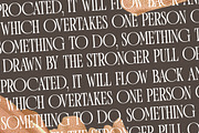 Mosfaghet Modern Serif Font, a Serif Font by Storytype Studio (Thumbnail 8 of 15)