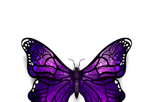 Beautiful Deep Purple Butterfly