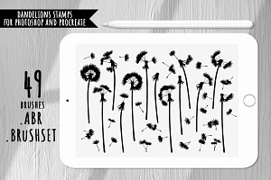 Dandelions Stamp Brushes