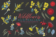 Wildflowers Australian Design Set, an Illustration by Sketchbook Designs (Thumbnail 3 of 11)