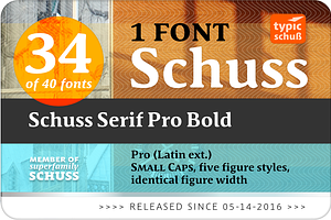 SchussSerifProBold No.34 1 Font