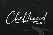 Constaller Chic Calligraphy Script, a Script Font by Namara Creative Studio (Thumbnail 6 of 12)