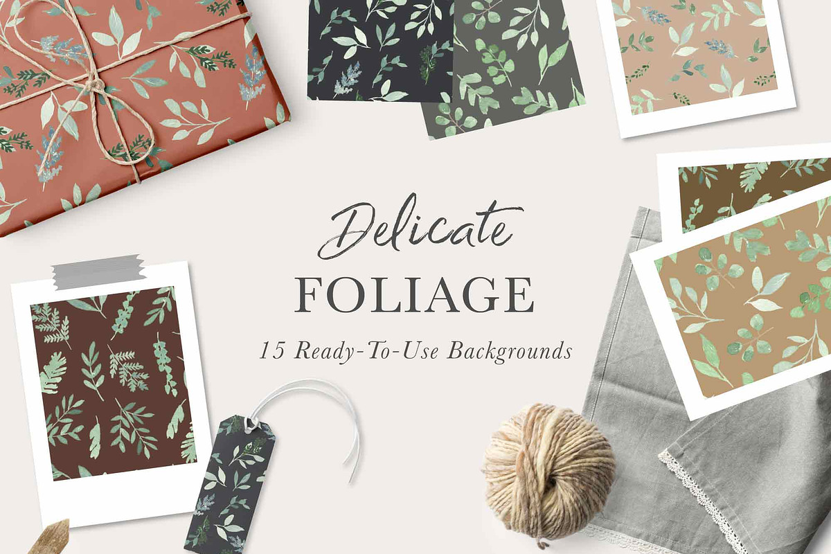 DELICATE FOLIAGE leaves greenery, an Illustration by Momo Studio (Photo 9 of 15)