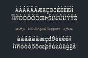 Darleco | Experimental Slab Display, a Slab Serif Font by Hole Hope Design (Thumbnail 7 of 10)