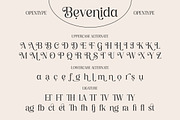 Bevenida - A Modern Stylish Serif, a Serif Font by agnyhasyastudio (Thumbnail 11 of 12)