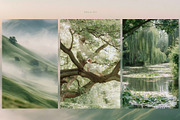 230 Sage Green Stock Images Bundle, a Beauty & Fashion Photo by Allure Art (Thumbnail 20 of 33)