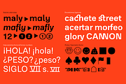 RNS Physis Family, a Sans Serif Font by RNS Fonts (Thumbnail 14 of 15)