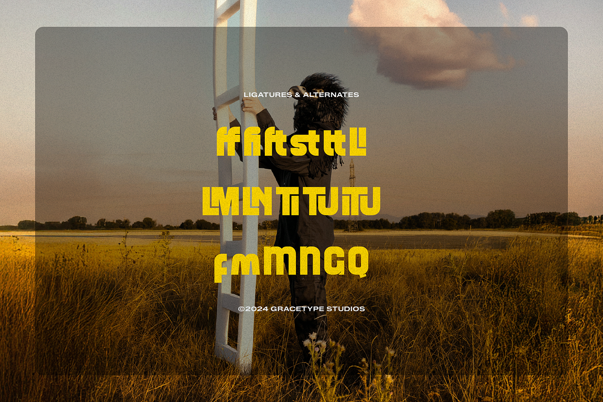 Stalfolk | Display Bold Sans, a Sans Serif Font by gracetype_studio (Photo 12 of 12)