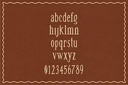 OAKLANE by Natasha Reddy, a Serif Font by Natasha Reddy Studio (Thumbnail 4 of 10)